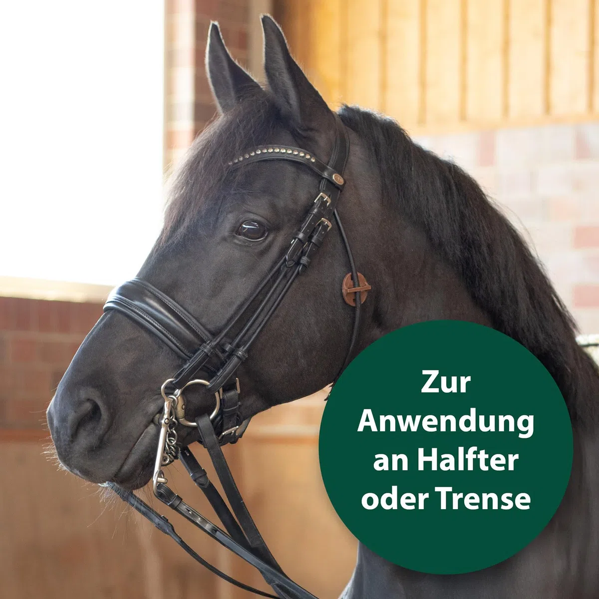 Equisept Fliegen- & Bremsen-Medaillon 2er Pack - Innovative Lösung zur Insektenabwehr am Pferd - Einfaches Anbringen an Halfter oder Trense - Bis zu 4 Wochen repellierende Wirkung - Dopingfrei