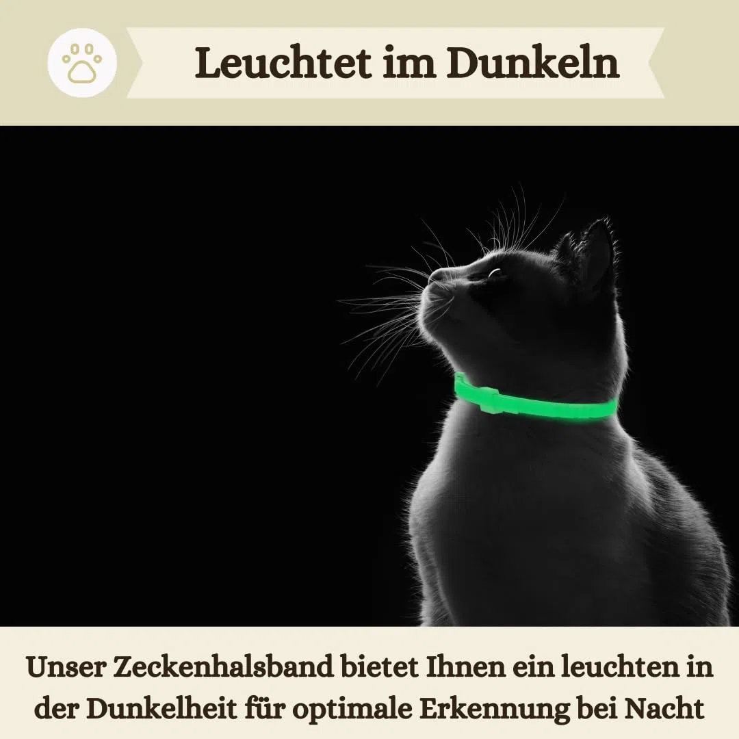 Zeckenhalsband für Katzen (2 Stück) - Länge 38cm - wirksamer Schutz gegen Zecken und Flöhe - wasserfest und Leuchtend bis zu 8 Monaten Zeckenschutz mit 100% natürlichen Inhaltsstoffen