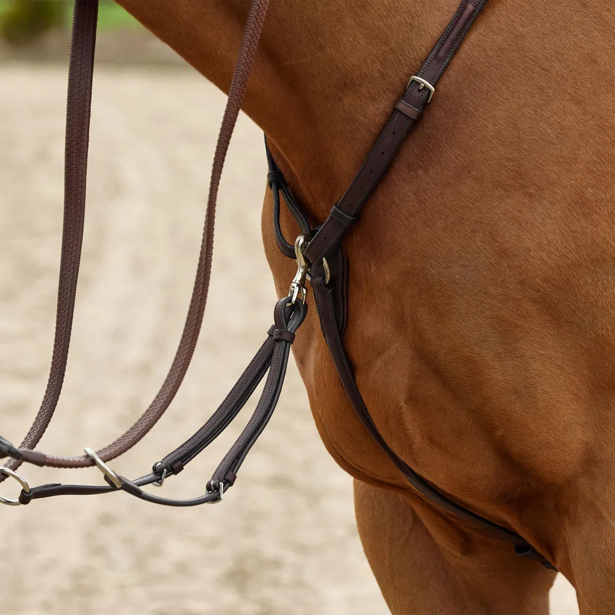 Collegiate ComFiTec Opulux 3-Punkt-gepolsterte Brustplatte & Lauf-Martingale