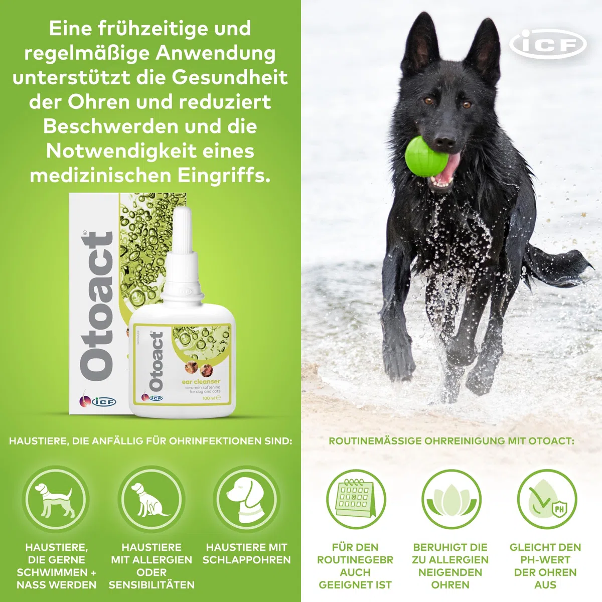 Otoact Ohrenreiniger für Hunde & Katzen | Sanfte Ohrreinigungslösung | Entfernt Ohrenschmalz & Unterstützt die Ohrenhygiene | Einfache Anwendung & Nicht reizend | 100ml