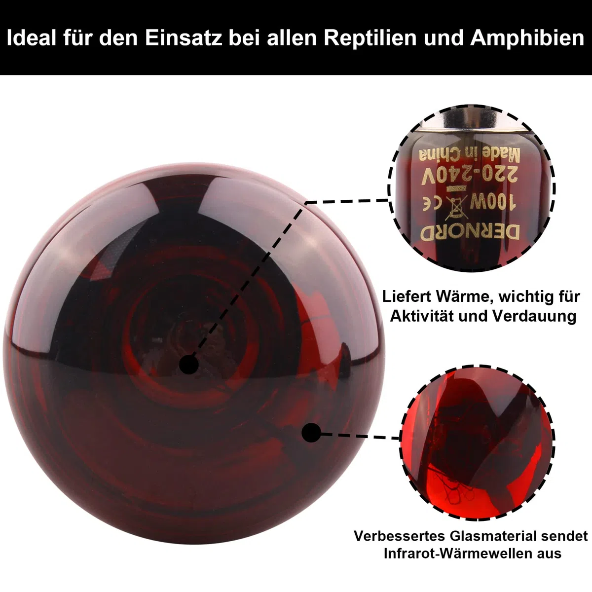 DERNORD Reptilien Rotlichtlampe Birne - 100 Watt R80 Infrarotlampe Rotlichtlampe Wärmelampe Tiere für Urzeitkrebse Schildkröten Vogelspinne Vivarium 2 Pack