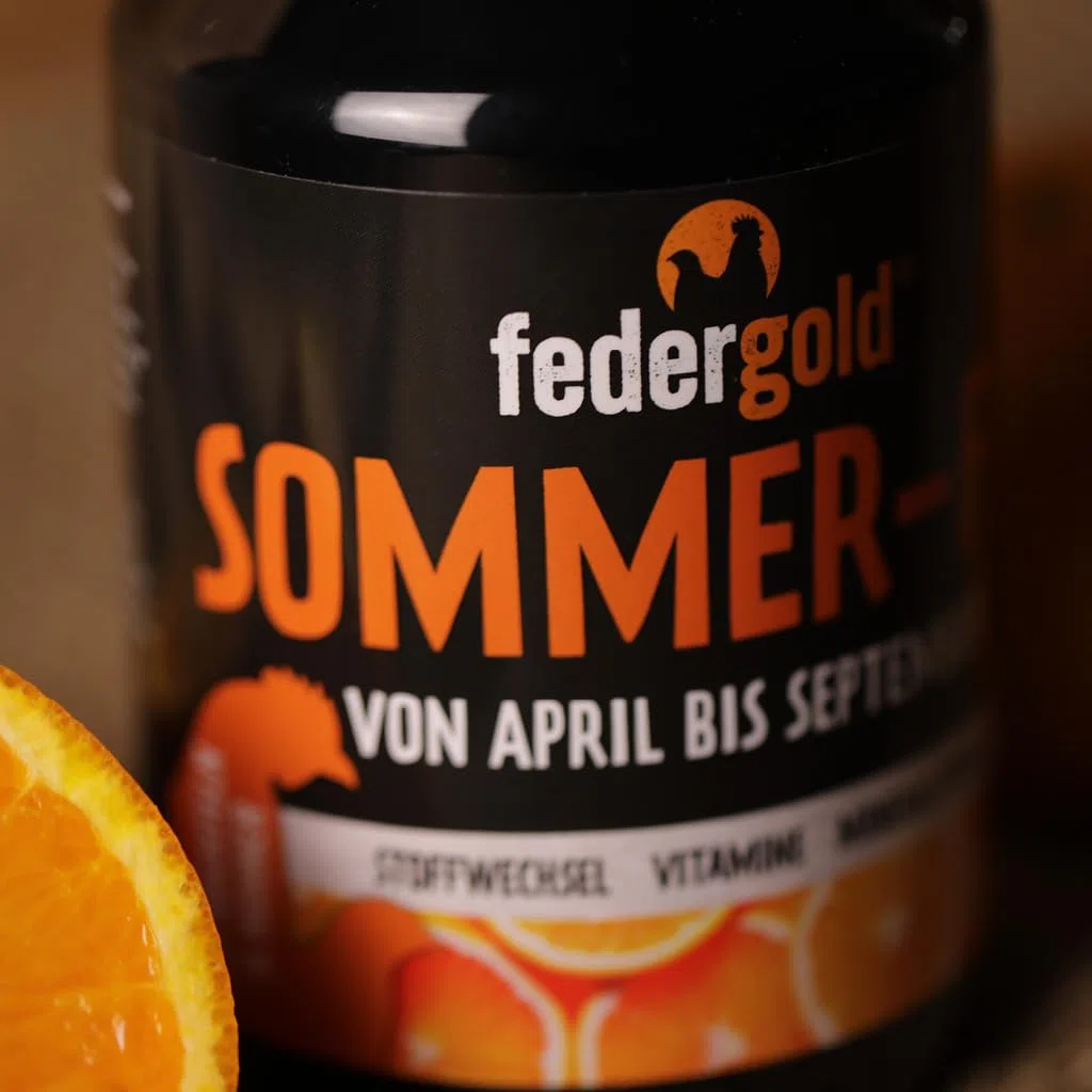 federgold Sommer-Fit 500ml Vitamine für Hühner & Wachteln | Vitamine & Elektrolyte für Sommer, Hitze & Legephase – unterstützt Vitalität, Stoffwechsel & Belastung bei Geflügel