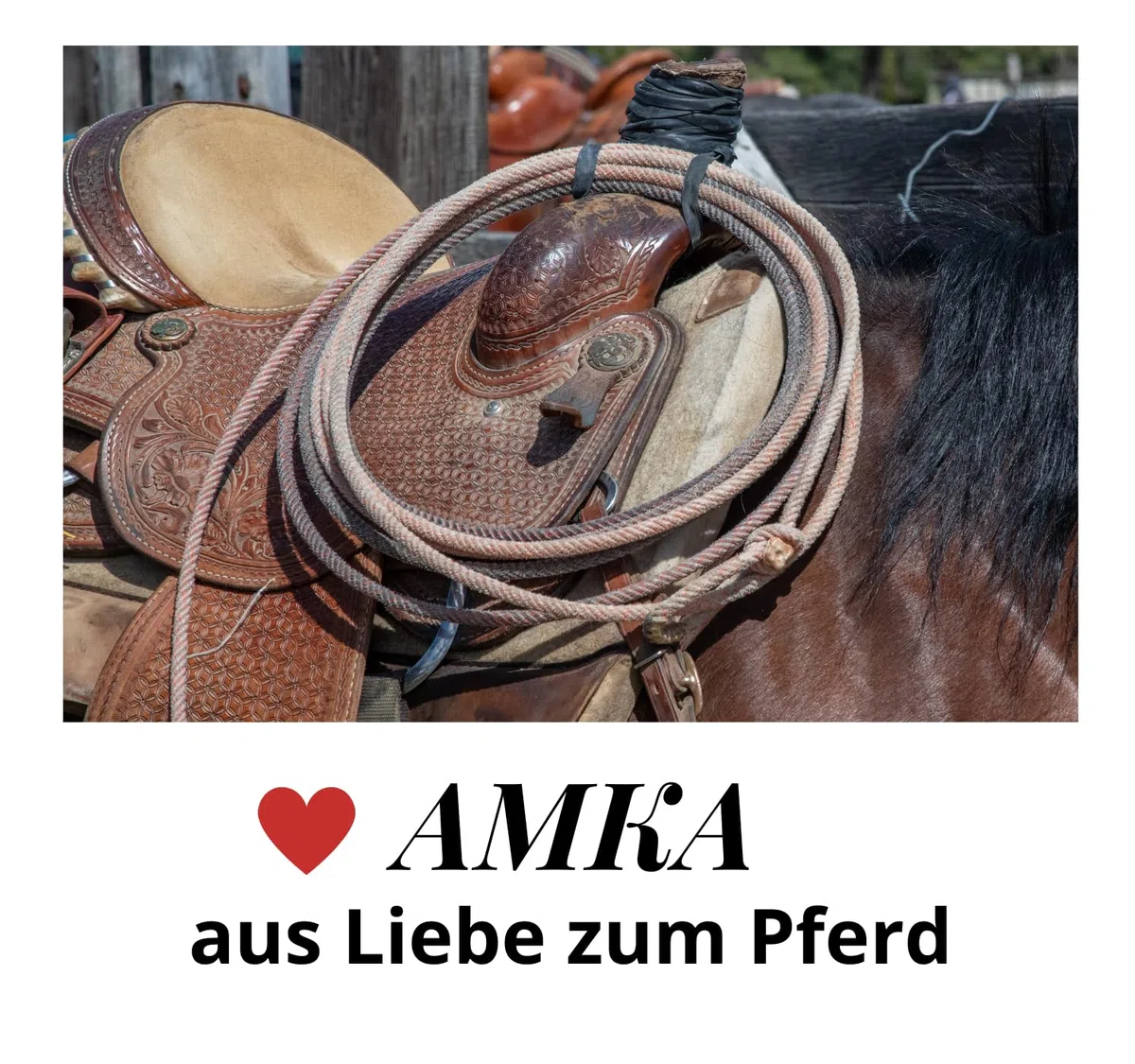AMKA Western Kinnriemen mit doppelter Kette