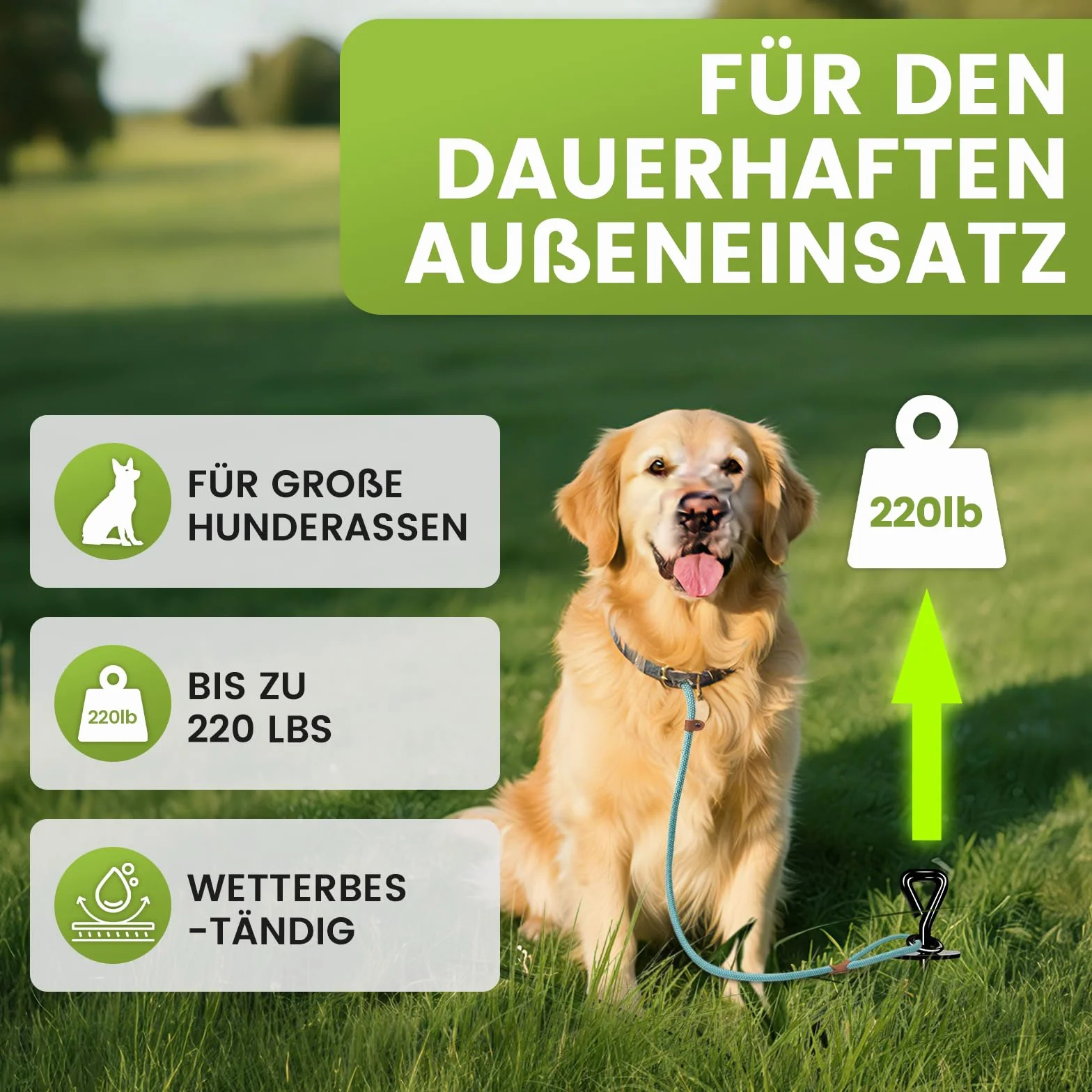 Bodenanker Hund, ø 12mm Spiralklinge Anlegepflock für Hunde bis zu 220 lbs, Erdanker Hund Mittlere Oder Große für Camping, Strand, Rasen und Hof