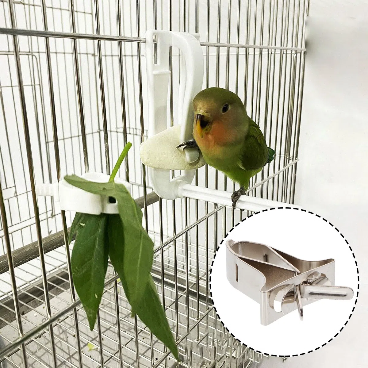 Cabilock 5 Stück Wiederverwendbare Vogelfutterclips aus Edelstahl Leichte Gemüseklammern für Vogelkäfige zum Füttern von Papageien und Anderen Vögeln