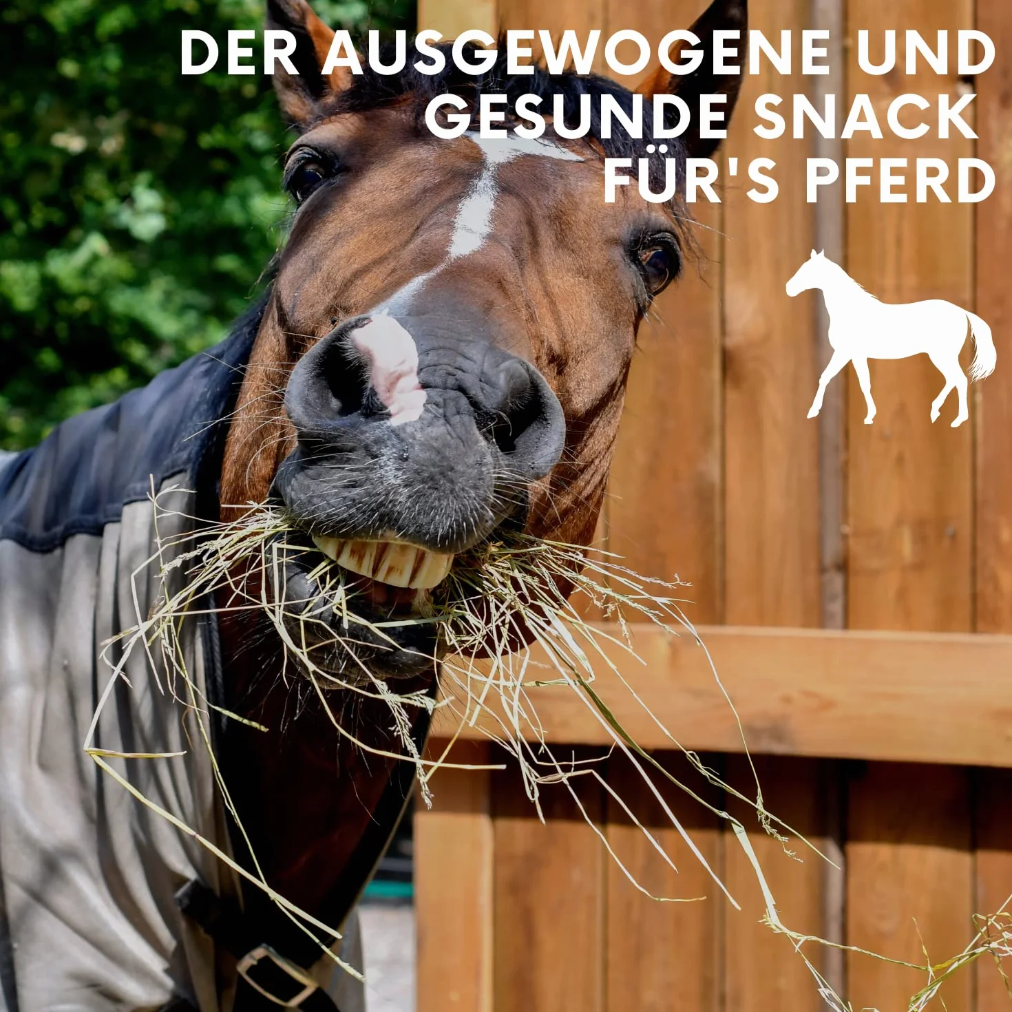 LAX Wiesenprodukte Knusperstangen für Pferde 3 kg (4 Stangen) – Getreide- & melassefreie Raufutter-Snacks mit Heu & Gemüse – Gesundes Ergänzungsfuttermittel & Pferdeleckerli