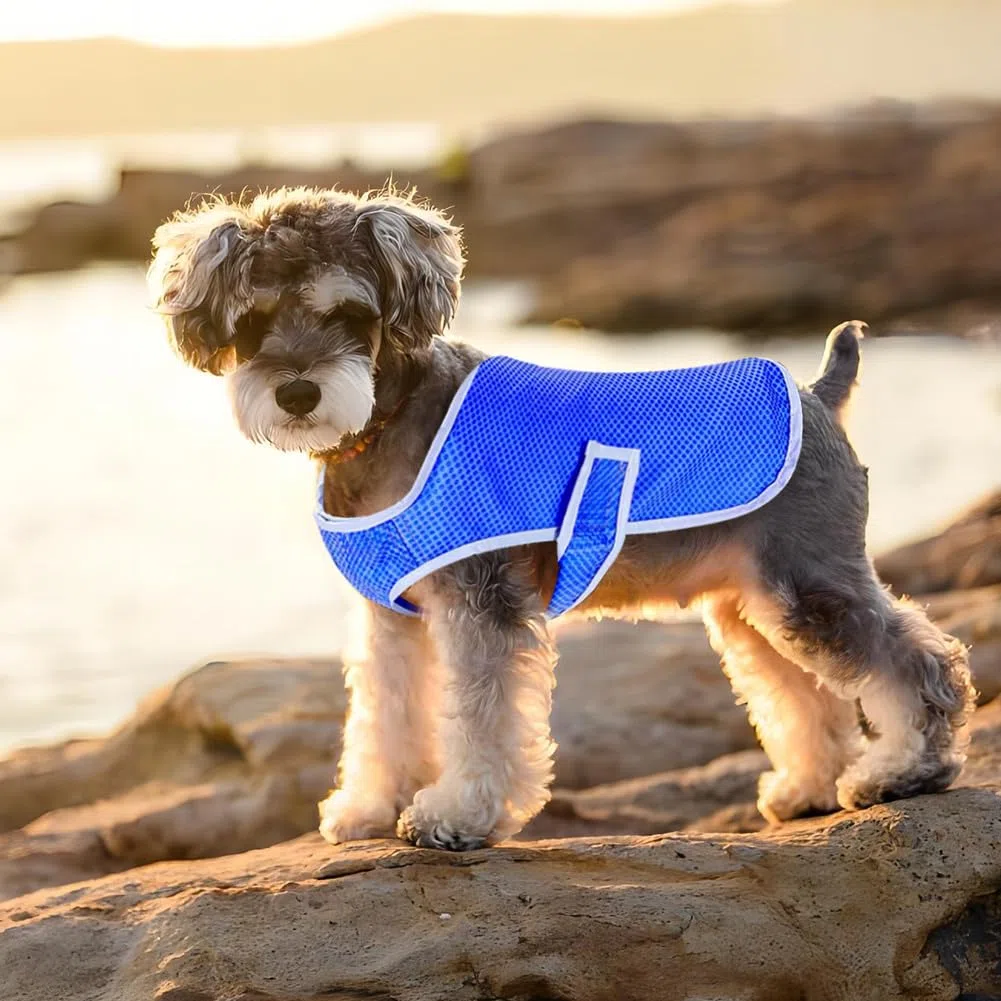 kühlweste Hund,Kühlweste Hund Atmungsaktives,Weiche Atmungsaktive Hundeweste Sommer,Sommer Hundeshirt,für kleine, mittlere und große Hunde Outdoor-Aktivitäten (M)