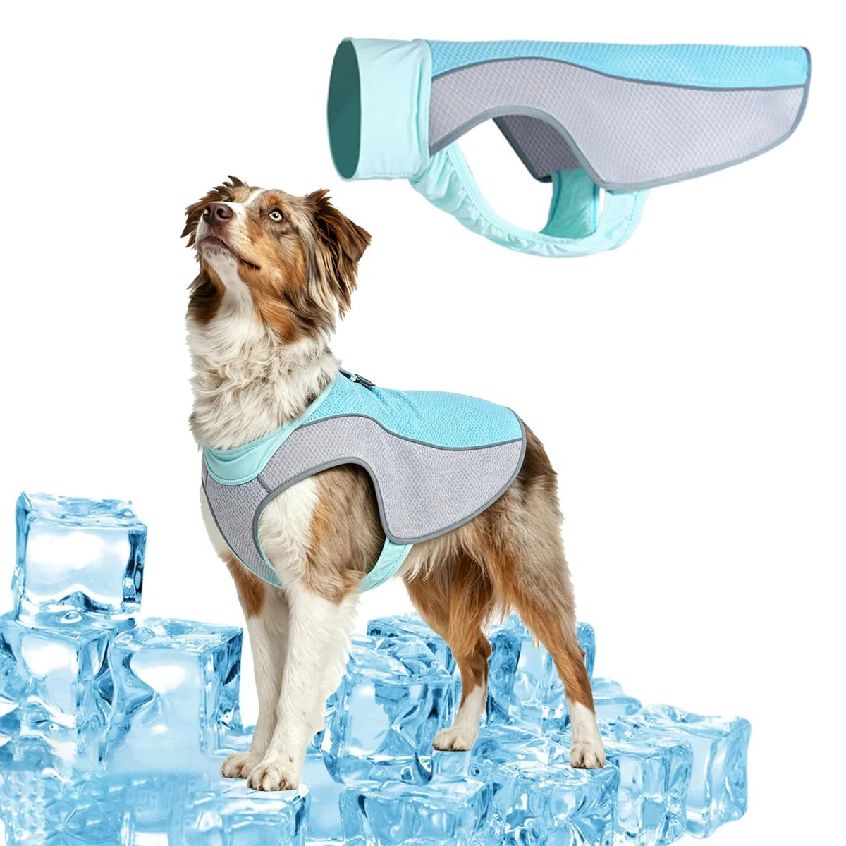 Hund Kühlweste, Kühlweste für Hunde zur Abkühlung im Sommer, Atmungsaktive Hundekühlweste mit Hitzeschutz & Sonnenschutz, Outdoor Cooling Vest Dog,Elastisches Hunde Tshirt (Blau,XL)