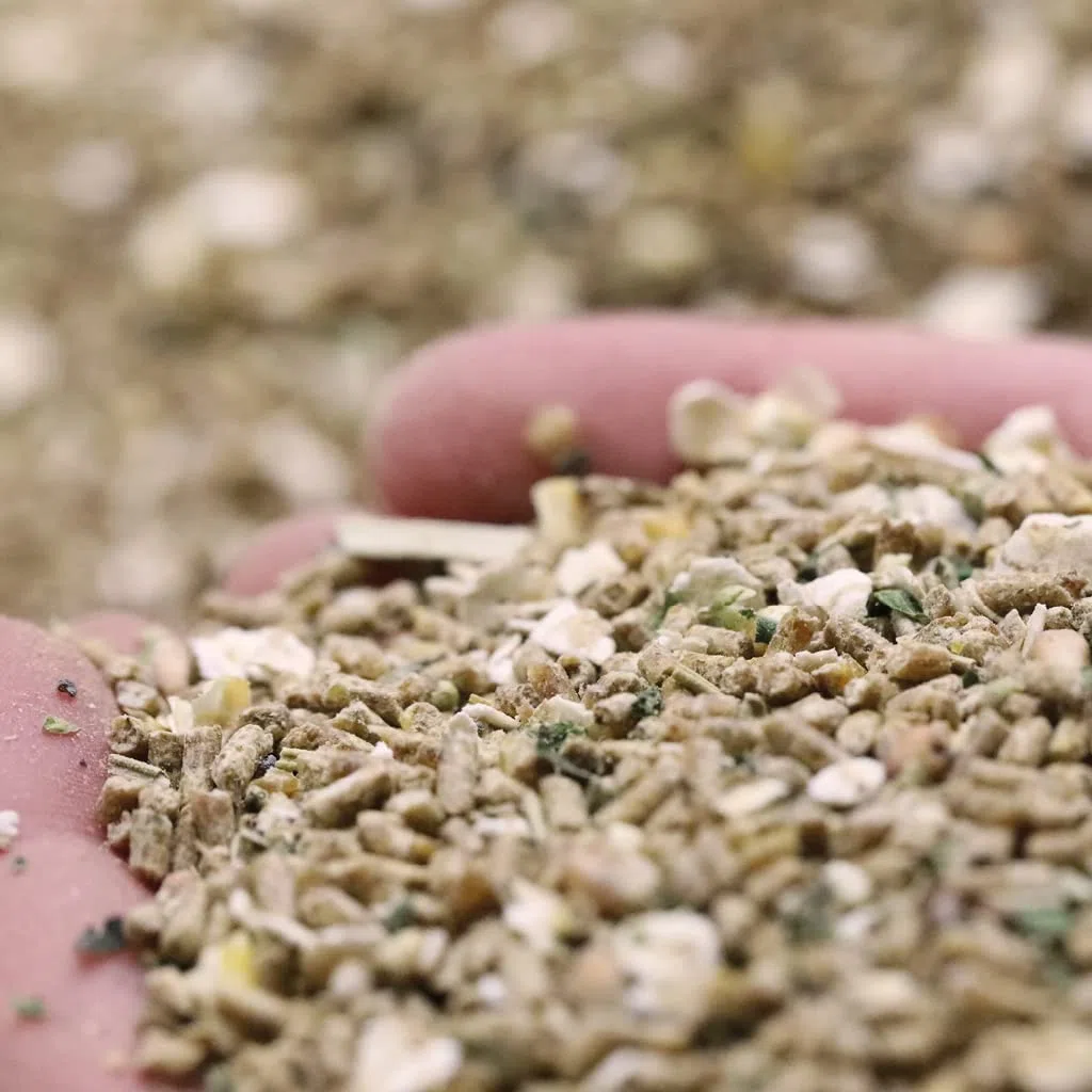 hühnergold Hühner Küken Premium 2,5kg – Kükenfutter ab Tag 1 | Mit Kräutern, Leinsaat & Blaumohn – Kükenfutter ab Tag 1 für Wachstum, Darmgesundheit & natürliche Aufzucht