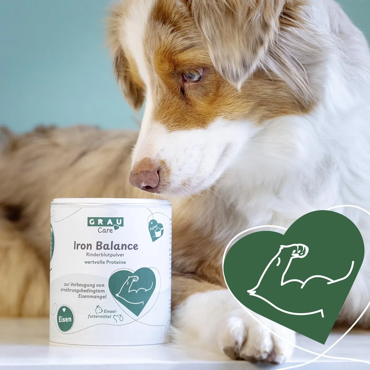 GRAU - Iron Balance, 1er Pack (1 x 600g), Ergänzungsfuttermittel für Hunde und Katzen