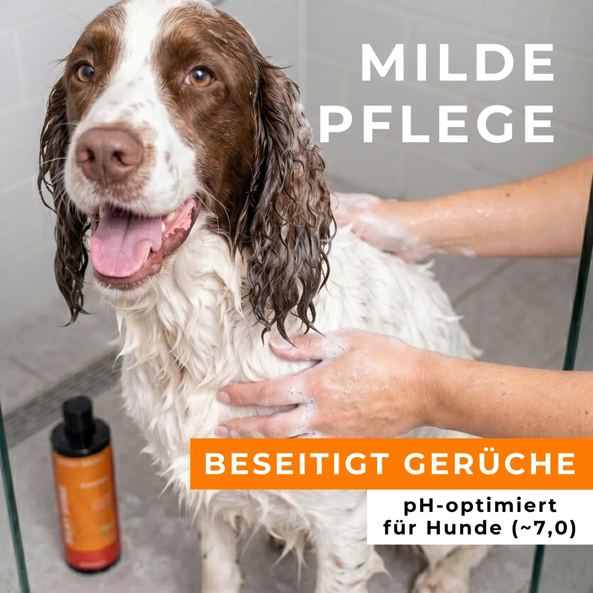 Testnote: Sehr gut - Hundeshampoo sensitiv mit Sanddorn - Fellpflege gegen Juckreiz & Geruch - 100% vegan & natürlich - für glänzendes Fell & Vitale Haut - 250ml