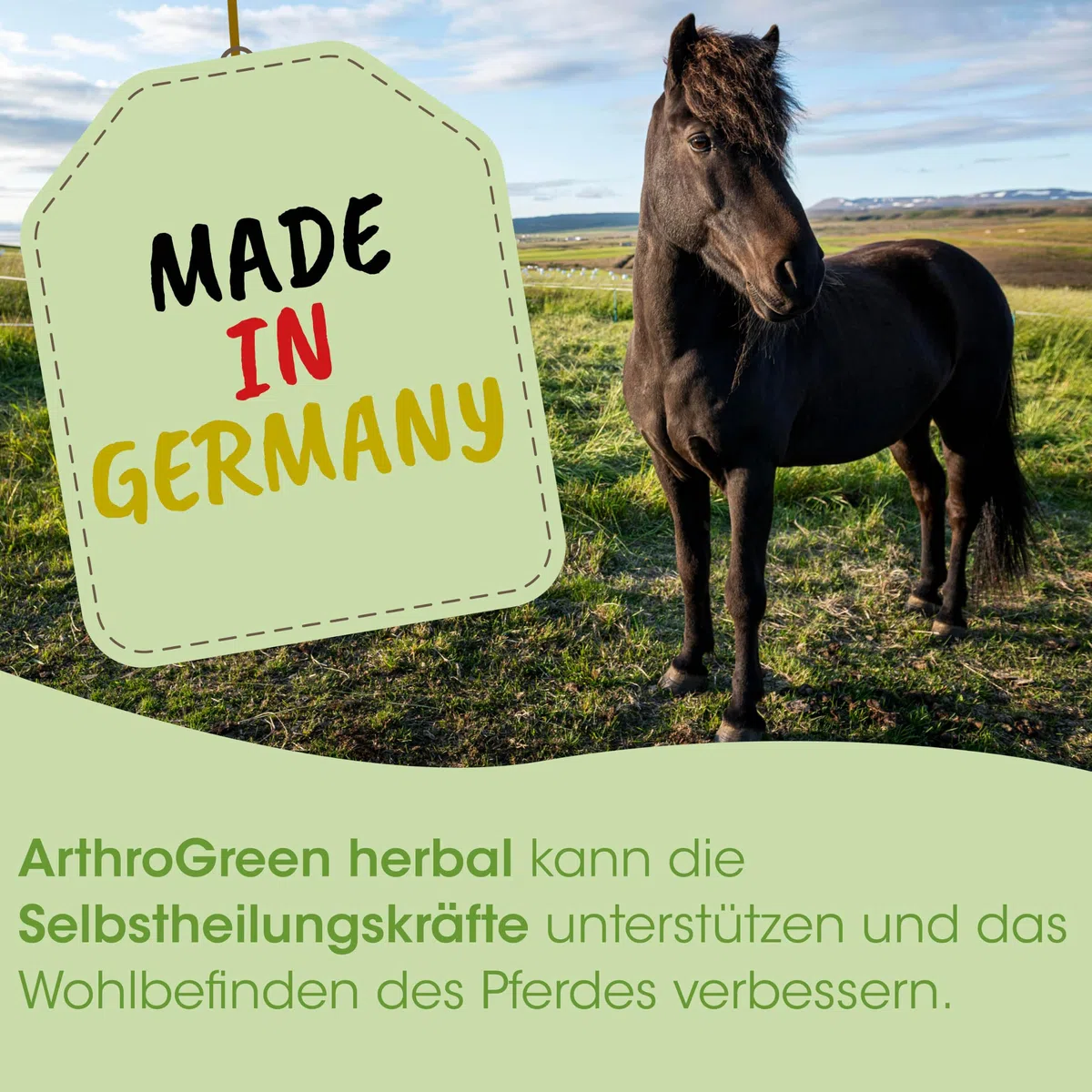 ArthroGreen Herbal 10 kg | Natürlich gesunde Gelenke für Pferde