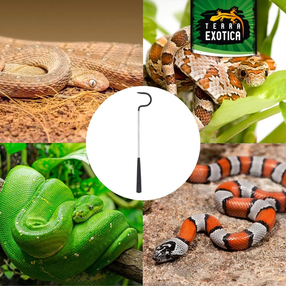 Terra Exotica Schlangenhaken aus Edelstahl gummiert – Snake Hook für Reptilien Handling – Feste Längen 50/70/96/105 cm & Teleskop 15–65/45–102 cm (50 cm)