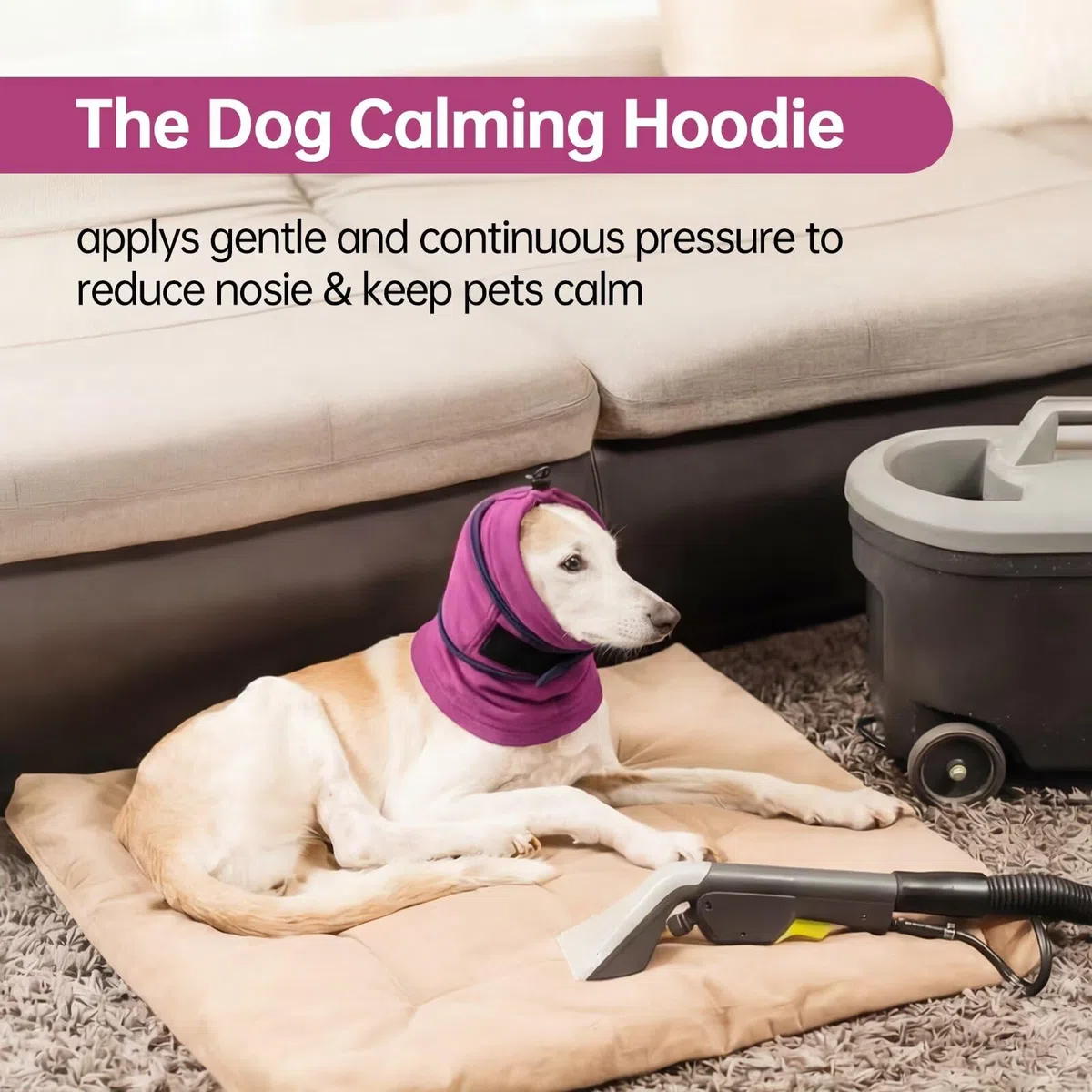 IECOii Hundepullover Snood Ohrenschutz,Kapuzenpulli für Hunde,Blutohren & Lärmschutz,beruhigend & warm,Silvester,OP & Nach-OP Pflege,weiches Fleece Hoodie Hund Ohr Schutzhaube Hund(Lila,S)