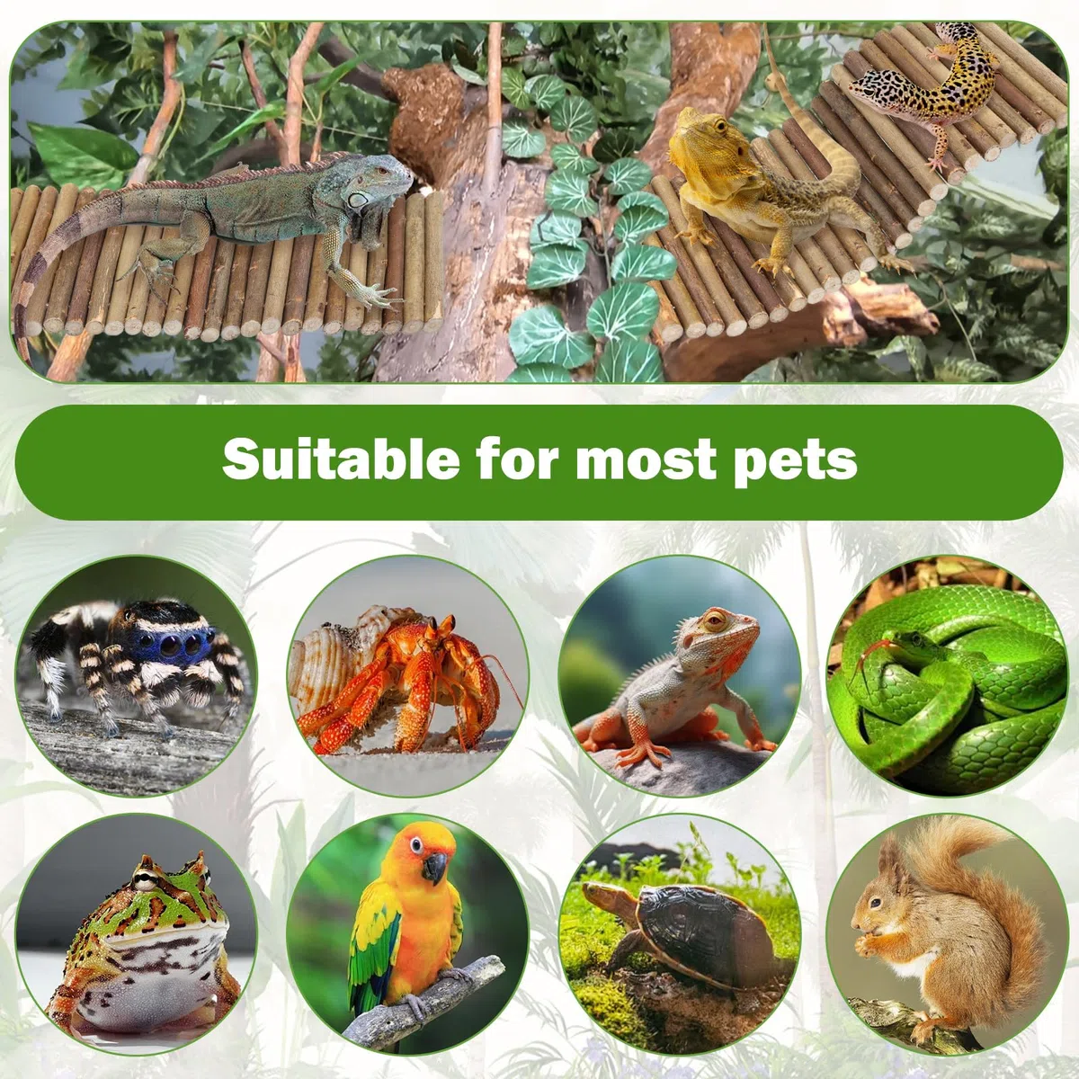 QUOZUO Bartagrachen Tankzubehör, Reptilien-Habitat-Hängematte, natürliches Seegras und Naturholz, biegbare Brücke zum Klettern, Einsiedlerkrebse, Eidechse, Mäuse, Spinnen, Schildkröte, Schlange