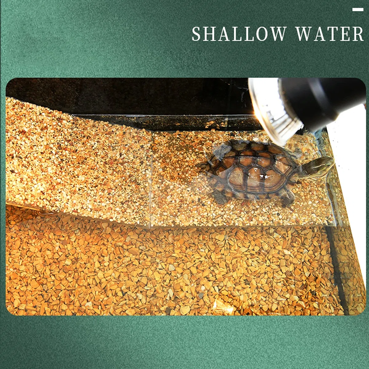 Schildkrötenpanzer Turtle-Tank mit Balkon, frei von Wasser Ersatz, Turtle-Tank ökologische Villa Schildkrötenkasten Bottom Row Turtle Tank Side Back Wasserfiltertank für drinnen und draußen ( Size : S