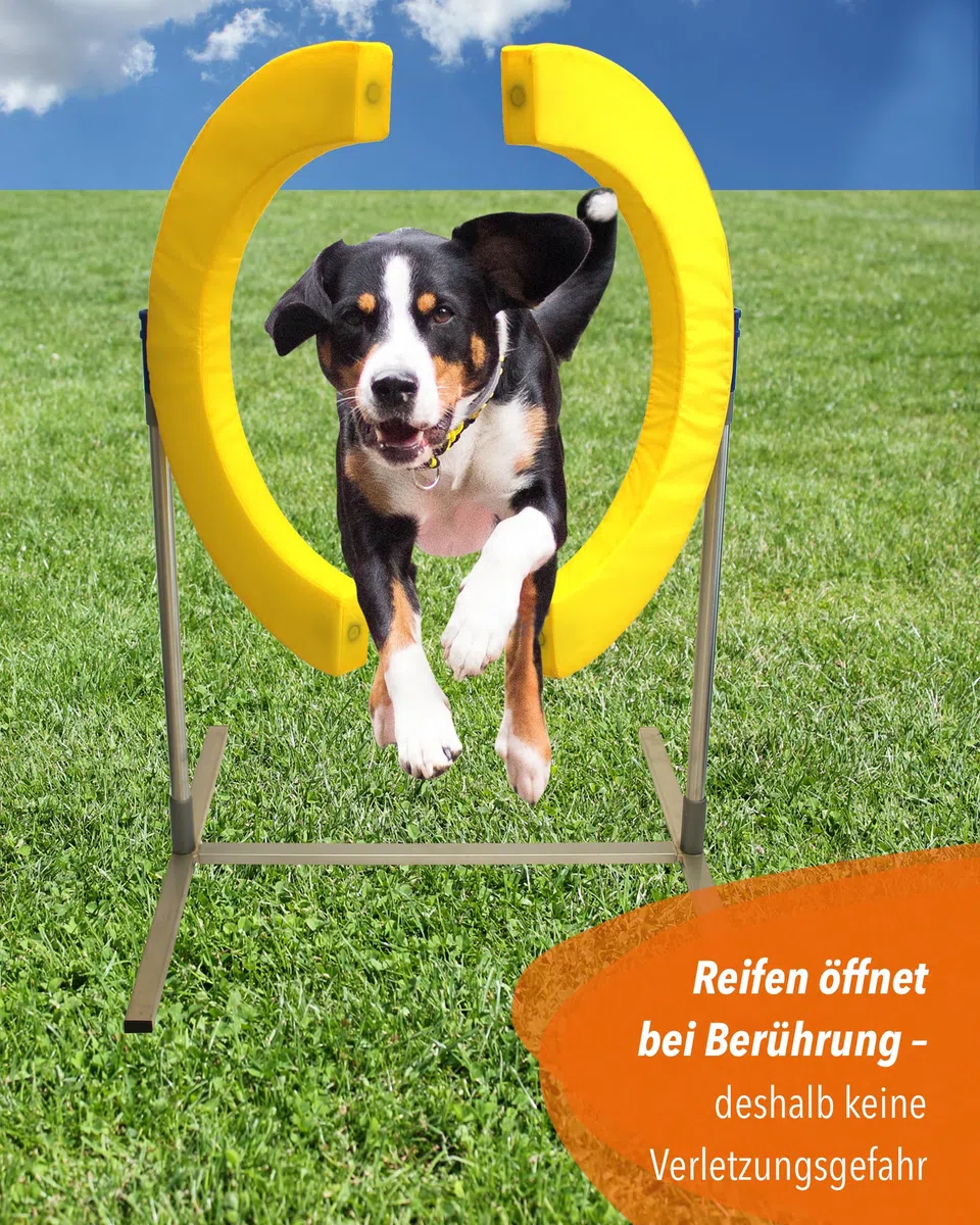 Safety Agility-Reifen – FCI-konform – mit Magnetverschluss & Schaumstofffüllung – höhenverstellbar & sicher – Agility-Training für Hunde