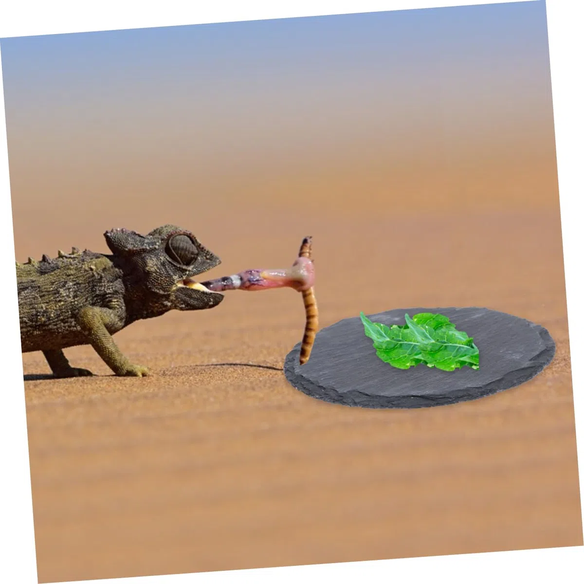 VANZACK 2 Stück Schildkrötenplattform Aus Stein Dekorative Sonnenplattform Für Schildkrötenbecken Langlebige Kletter Und Ruheplattform Für Reptilien Im Haushalt