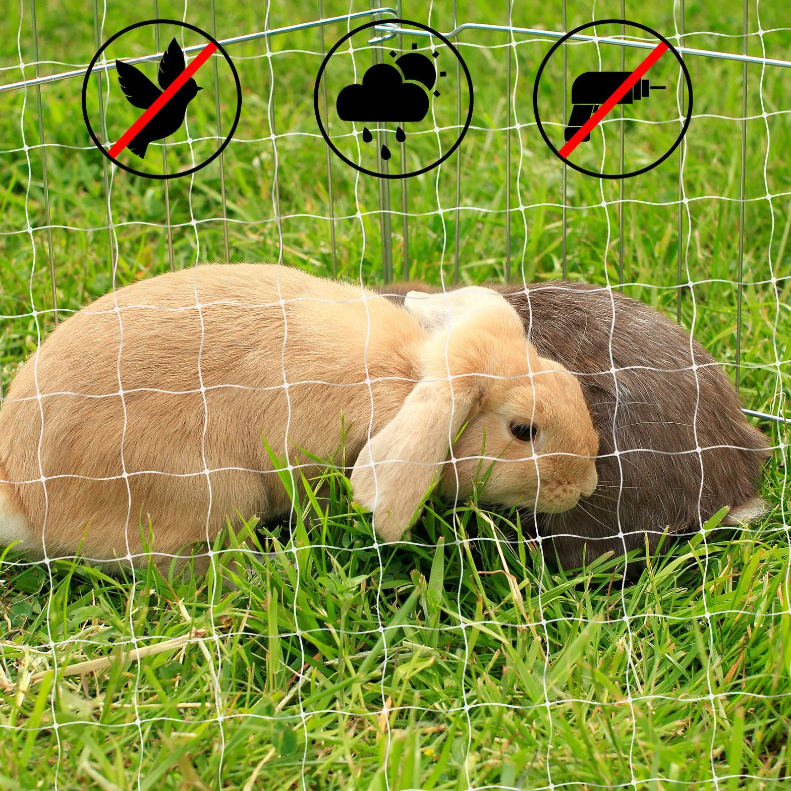 lionto Balkonschutznetz zur Sicherung von Katzen, Katzenschutznetz aus transparentem Nylon, 3x4 m, witterungsbeständiges Katzennetz zur Montage ohne Bohren, Montagematerial & Anleitung inklusive