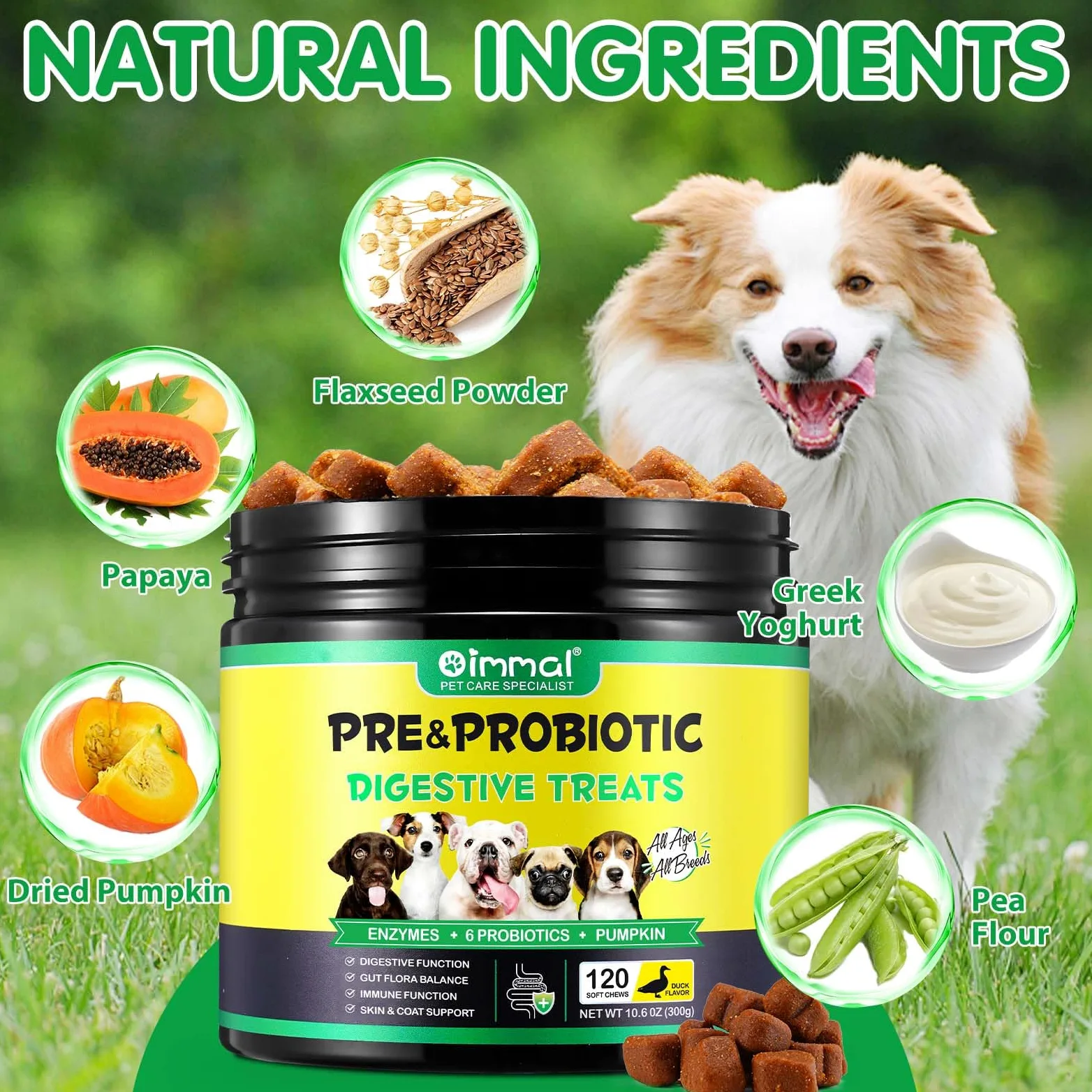 Probiotische Kautabletten für Hunde, Probiotika Hund Darmgesundheit, Hund Darmflora Aufbauen, Magen Darmflora Hunde│Allergien, Hefe Gleichgewicht│Immunsystem und die allgemeine Gesundheit unterstützt