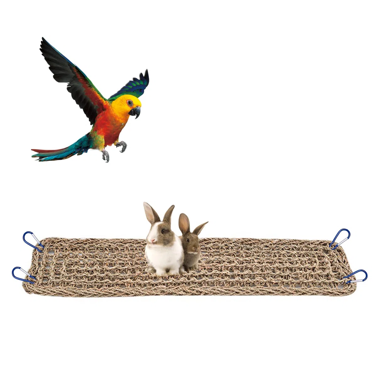 Vogel Seegrasmatte,Vogel Hängematte mit Haken Natürliches Seegras-Gewebenetz Reptil Hängematte Netzmatte für Nymphensittich Hamster Meerschweinchen Ratten,52 x 20 cm