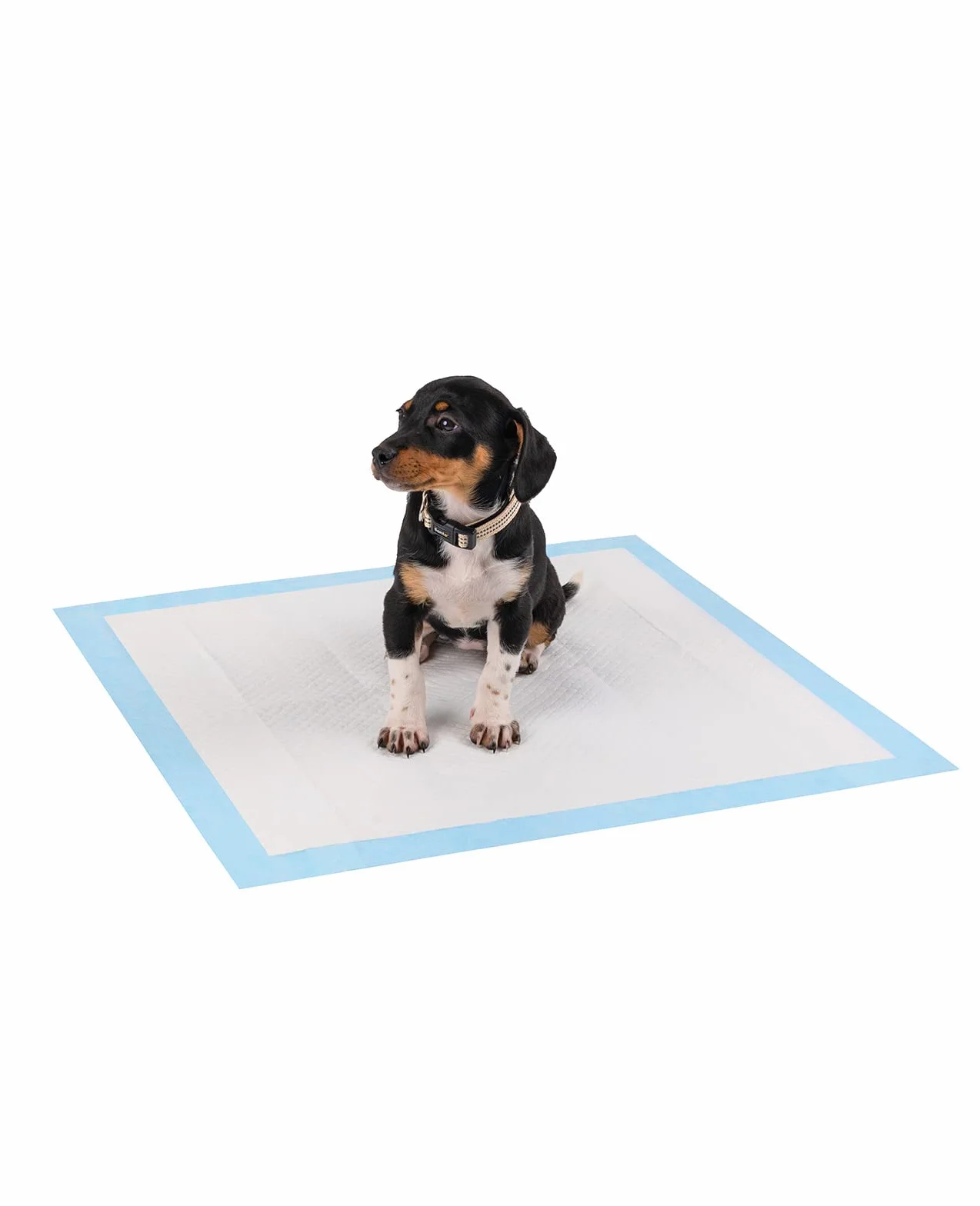 lionto Welpenunterlagen, 6-lagige Trainingspads für Hunde mit Klebestreifen, 50 Stück 60x60 cm, auslaufsicher und strapazierfähig Dank hoher Saugfähigkeit für kranke und inkontinente Tiere, blau/weiß