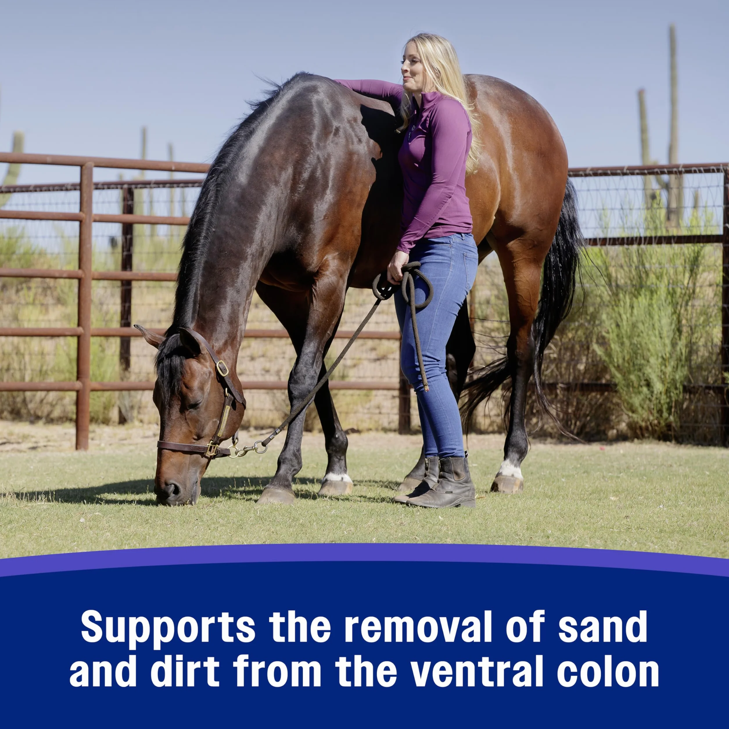 Farnam Sand Clear - Limite Les risques de coliques de Sable Chez le Cheval 9 kg