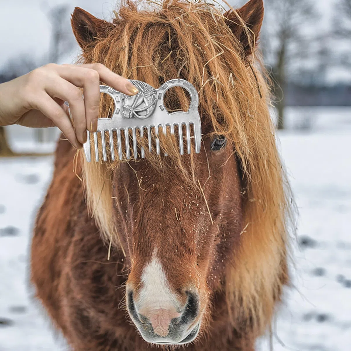 Reitsport-Pferdekämme aus Metall. Verdickter Borstenkamm. Einfach zu halten. Passt in den Werkzeugkasten für die Haustierpflege. Entfernt Knoten aus der Mähne und dem Schweif des (3,9 Zoll)