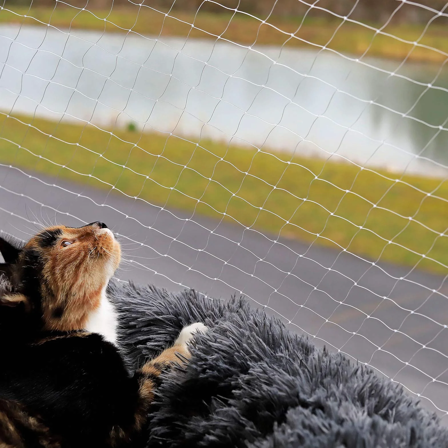 lionto Balkonschutznetz zur Sicherung von Katzen, Katzenschutznetz aus transparentem Nylon, 3x4 m, witterungsbeständiges Katzennetz zur Montage ohne Bohren, Montagematerial & Anleitung inklusive