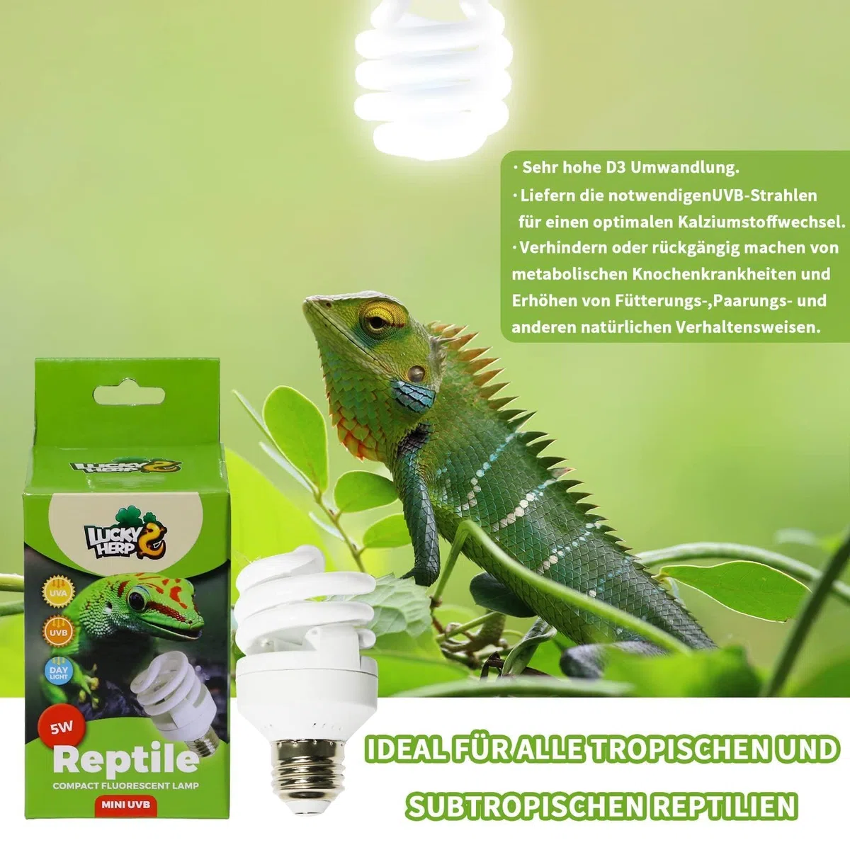 LUCKY HERP UVB Lampe Terrarium, Reptilien UVA UVB Lampe 5W 5.0, MINI UV Lampe Terrarium für Schildkröte, Bartagamen, Schlangen, Eidechsen, Geckos, Vögel