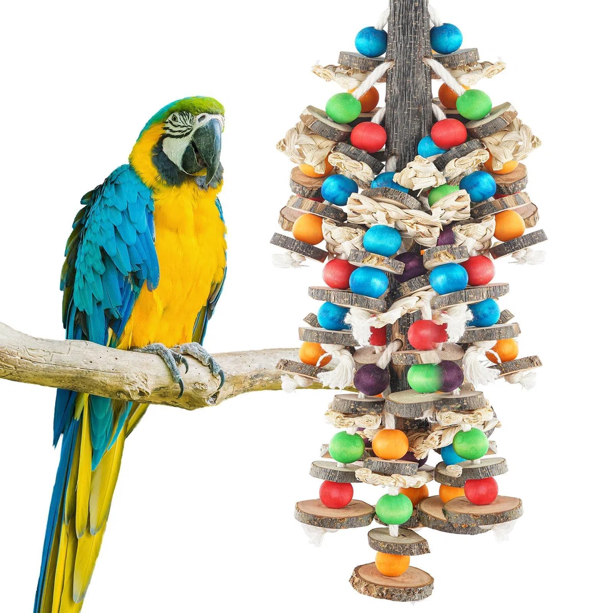Vogelspielzeug Papagei Natürliches Kauspielzeug für Kakadus, Graupapageien, Aras und Amazonas Papageien, Mehrfarbiges Holzblockspielzeug zum Klettern, Kauen
