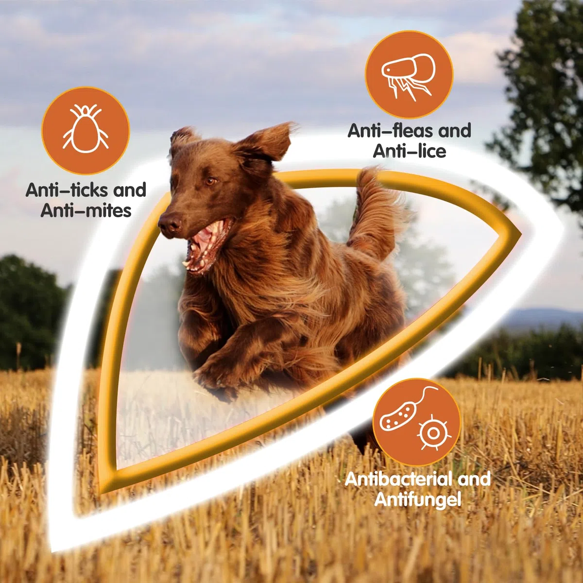 Nobleza Hundeshampoo gegen Juckreiz Milben Pilz Floh,Mit Natürlicher Extrakt,Rückfettendes Sensitive-Shampoo Katze, Anti-Bakteriell, Lindert Hautreizungen,auch für Welpen und Kätzchen (500ml)