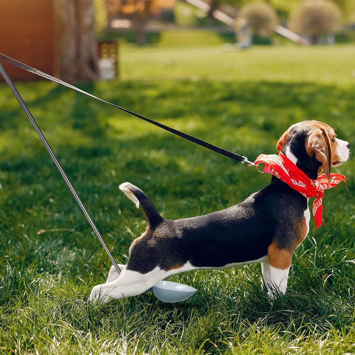 Urinsammler für Hunde, Urinstäbchen für Hunde | Teleskopischer Urinsammler für Haustiere | Teleskop-Urin-Auffangbehälter für Hunde mit langem Griff,