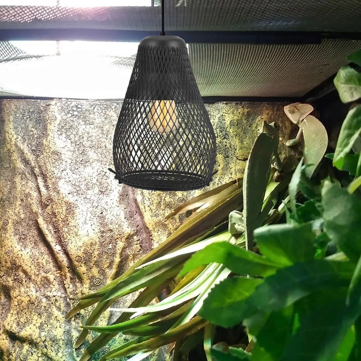 Lampenschirm Reptilien mit Verbrühungsschutz aus Eisen Wärmelampe Robust und Anti Skaldend Passend für E27 Lampenfassung für Terrarien und Vogelkäfige