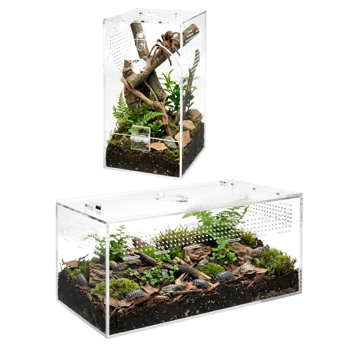 Springspinnen-Acryl-Terrarium, 360° Transparente Futterkasse, Allzweckbehälter für Sprungspinnen, Vogelspinnen, Schnecken und Insekten, ohne Montage, Set 2, L (25.4x12.7x12.7cm)