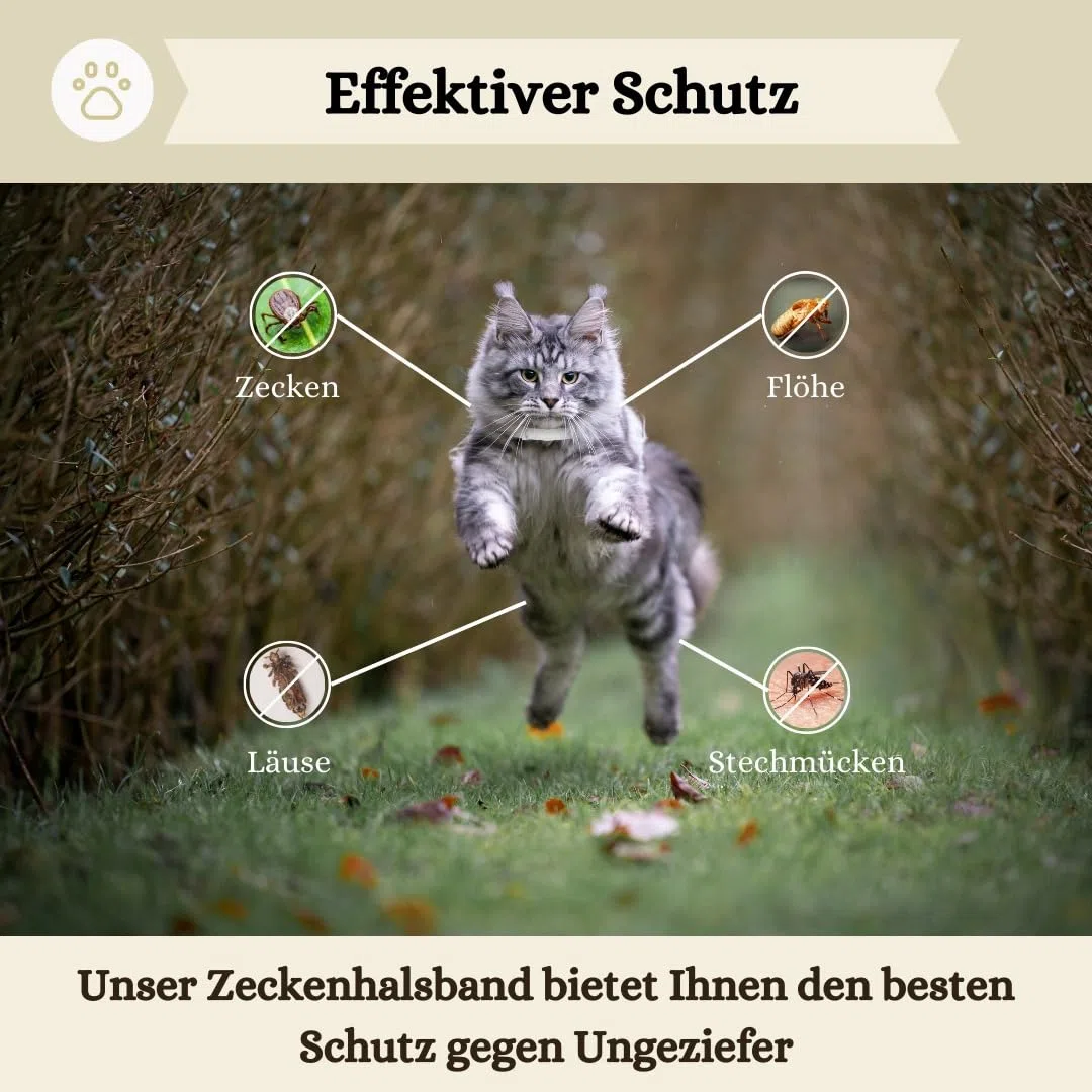 Zeckenhalsband für Katzen (2 Stück) - Länge 38cm - wirksamer Schutz gegen Zecken und Flöhe - wasserfest und Leuchtend bis zu 8 Monaten Zeckenschutz mit 100% natürlichen Inhaltsstoffen