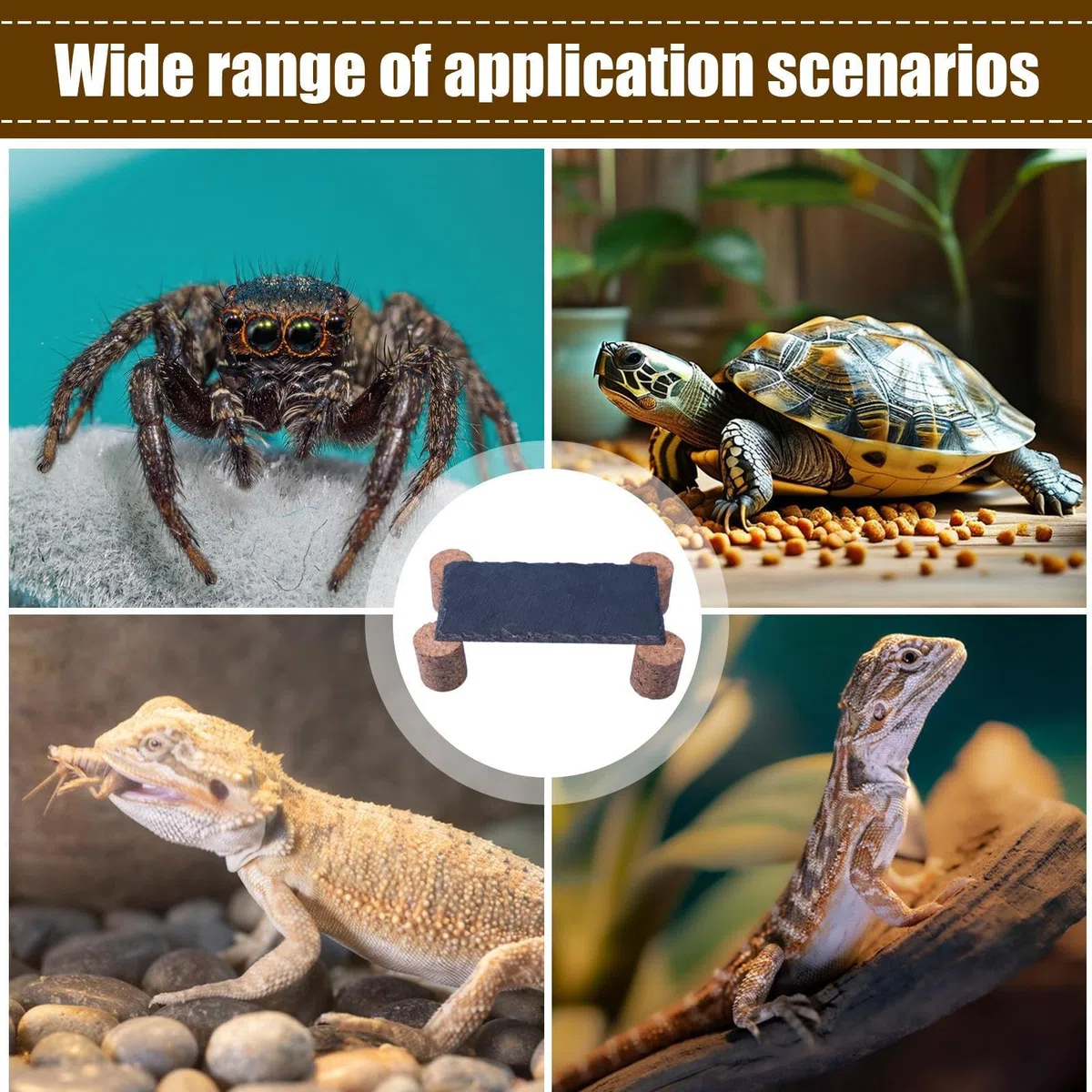 Sonnenfelsen, Schildkröte, Sonnenfelsen, Lebensraum mit Korkpfähle für, Gecko, Süßwasserschlange, Aquarium
