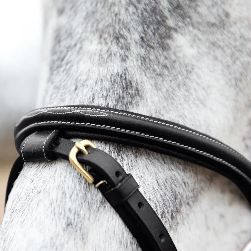 HORZE Pferde Trense Constance, Trensenzaum mit Zügel für Warmblut, Vollblut und Pony, Schwarz, XF