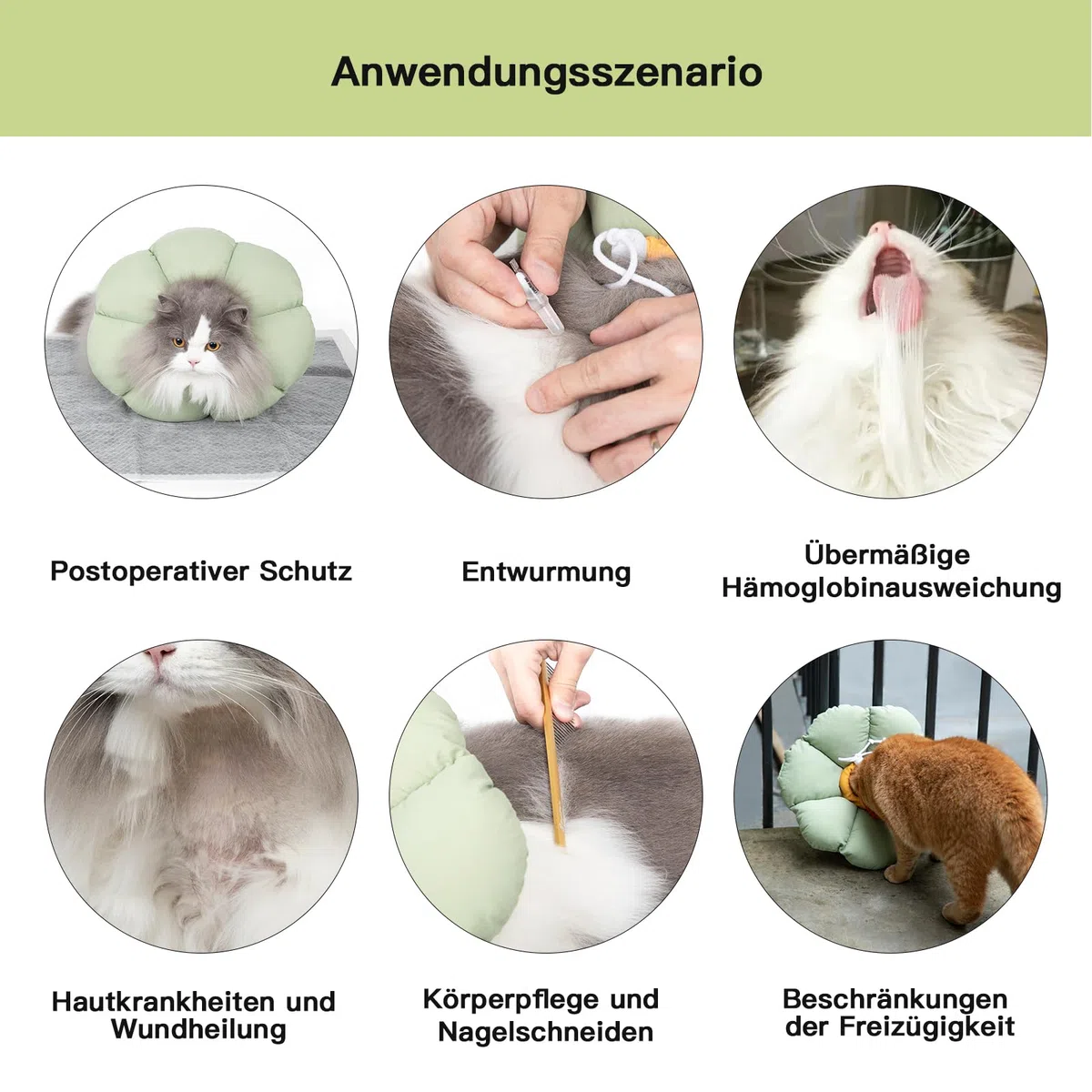 Halskrause Katze, Einstellbarer Katzenhalskragen, Weiche Blumen Katzenhalskrause Kragen Cone, für Katzen und kleine Hunde nach Operationen und Verletzungen (grüner, M)