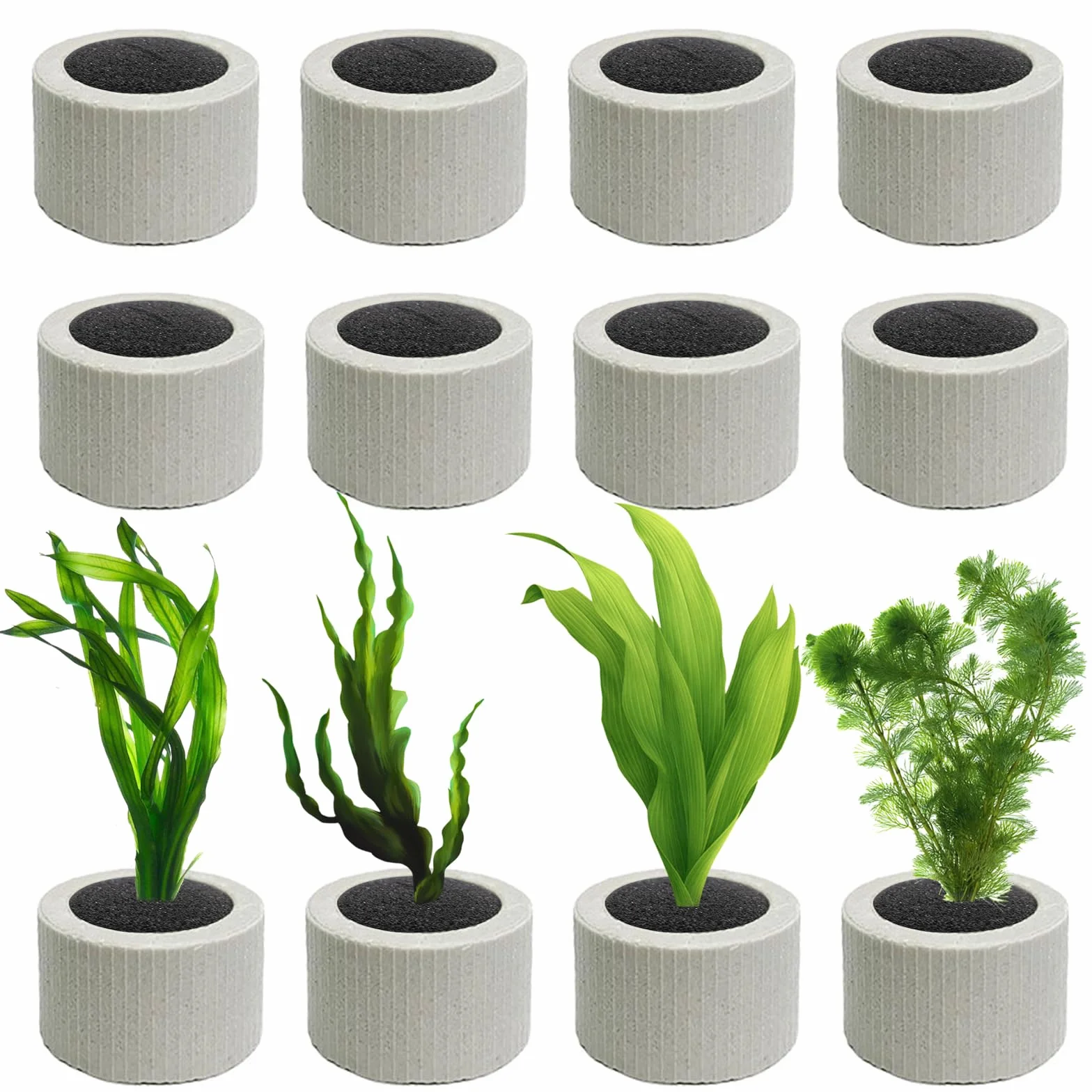 12 Stück Pflanzengewichte Aquarium Ring Wasserpflanzen Pflanzenanker Gewichte Fixierer Keramikringe mit Pflanzbaumwolle Pflanzen Schwerkraft Ring
