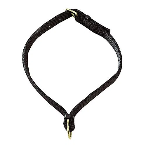 Norton Halsband für Pferde Farbe : schwarz, Größe : Warmblutgröße