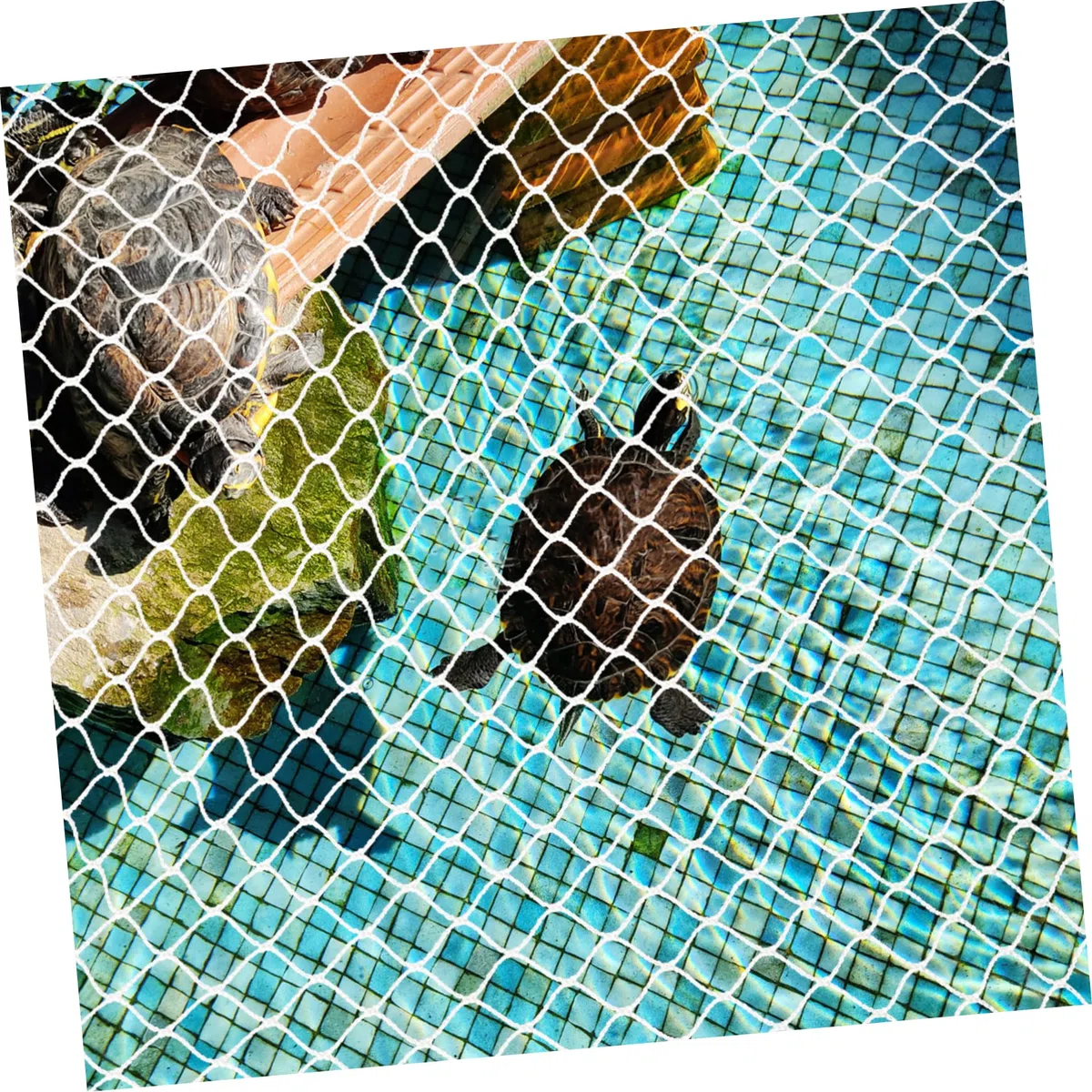COLLBATH Aquarium-schutznetz Anti-sprungnetz Für Aquarien Aus Nylonmaterial Einfach Zu Verwenden Schneiden