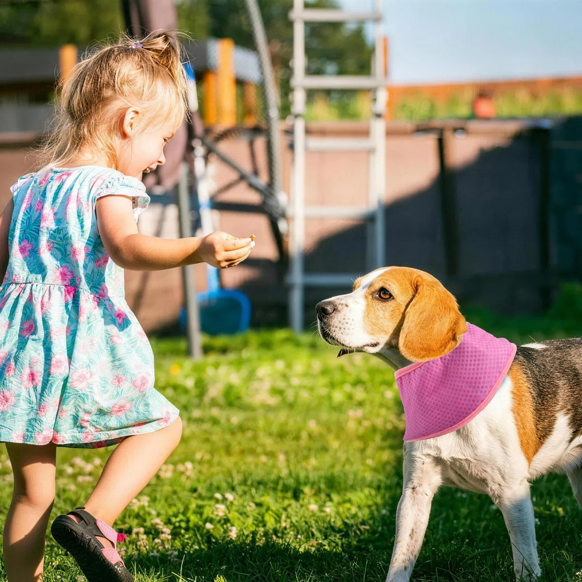 Kühlhalsband für Hunde, Kühlendes Hundehalsband, Hundehalsband Kühlend, Atmungsaktiv Wärmeableitung Bandana Hund, Geeignet für Kühlhunde im Sommer (Rosa, S)