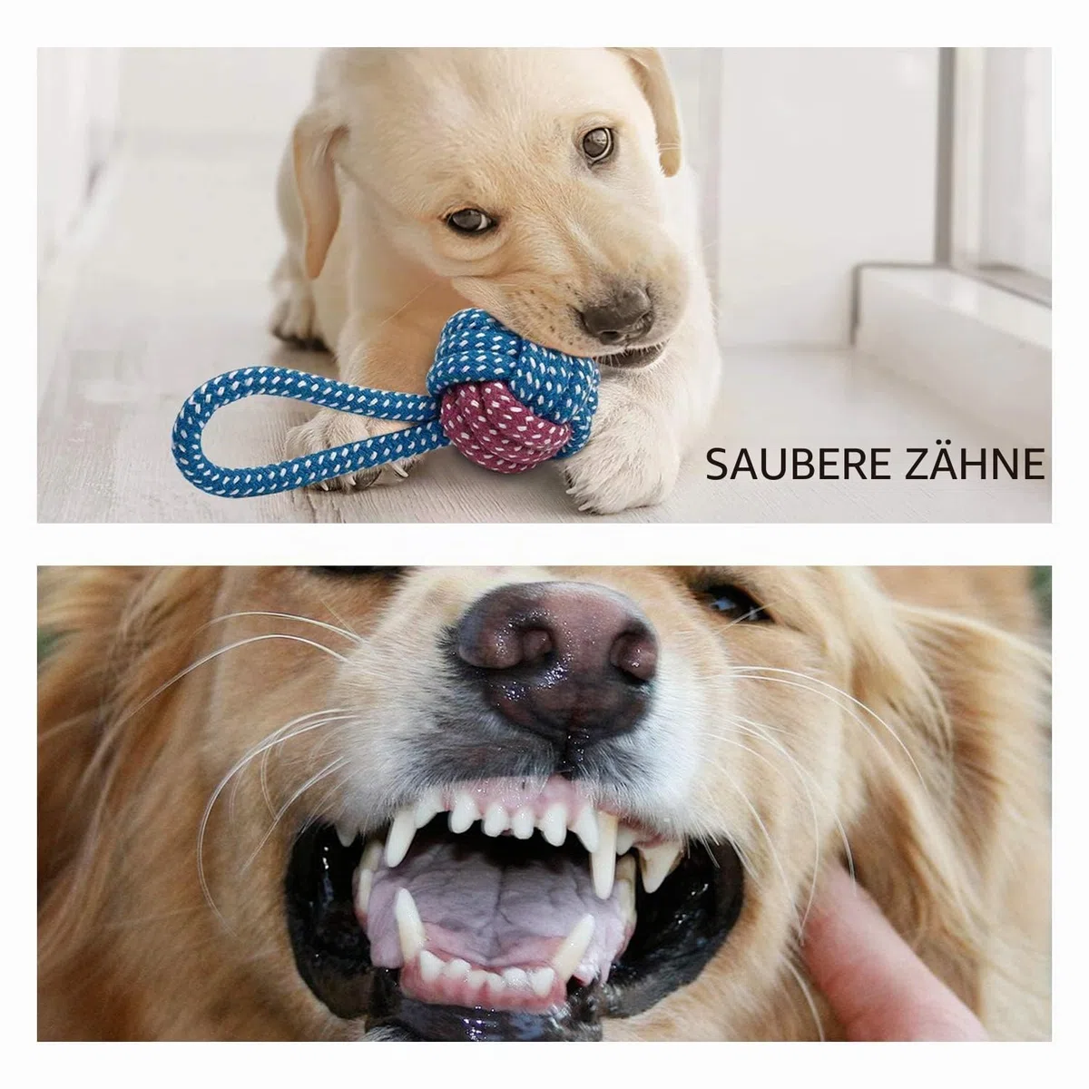 Toozey Hundespielzeug Kleine Hunde - 7 Stück Welpenspielzeug - Langlebiges Kauspielzeug und Quietschspielzeug Intelligenz - Naturbaumwolle und Ungiftig