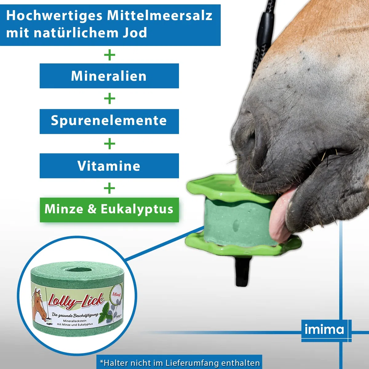 Lolly-Lick Bronchial 750g