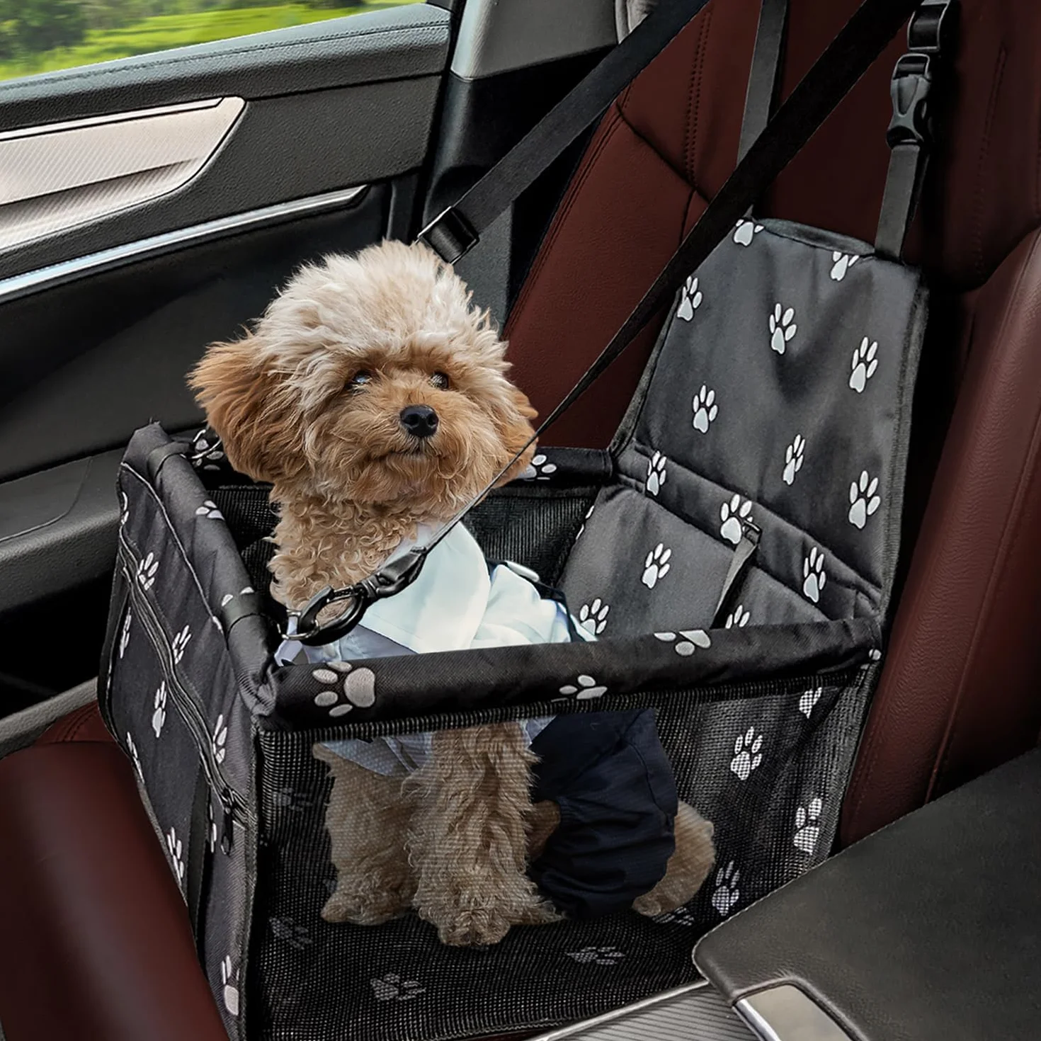 Flagest Hunde Autositz Für Kleine Hunde Bis 10 kg - Faltbarer Hundeautositz Mit Gurte & Aufbewahrungstasche, Waschbarer, Rutschfester Hundesitz Auto Für Welpen