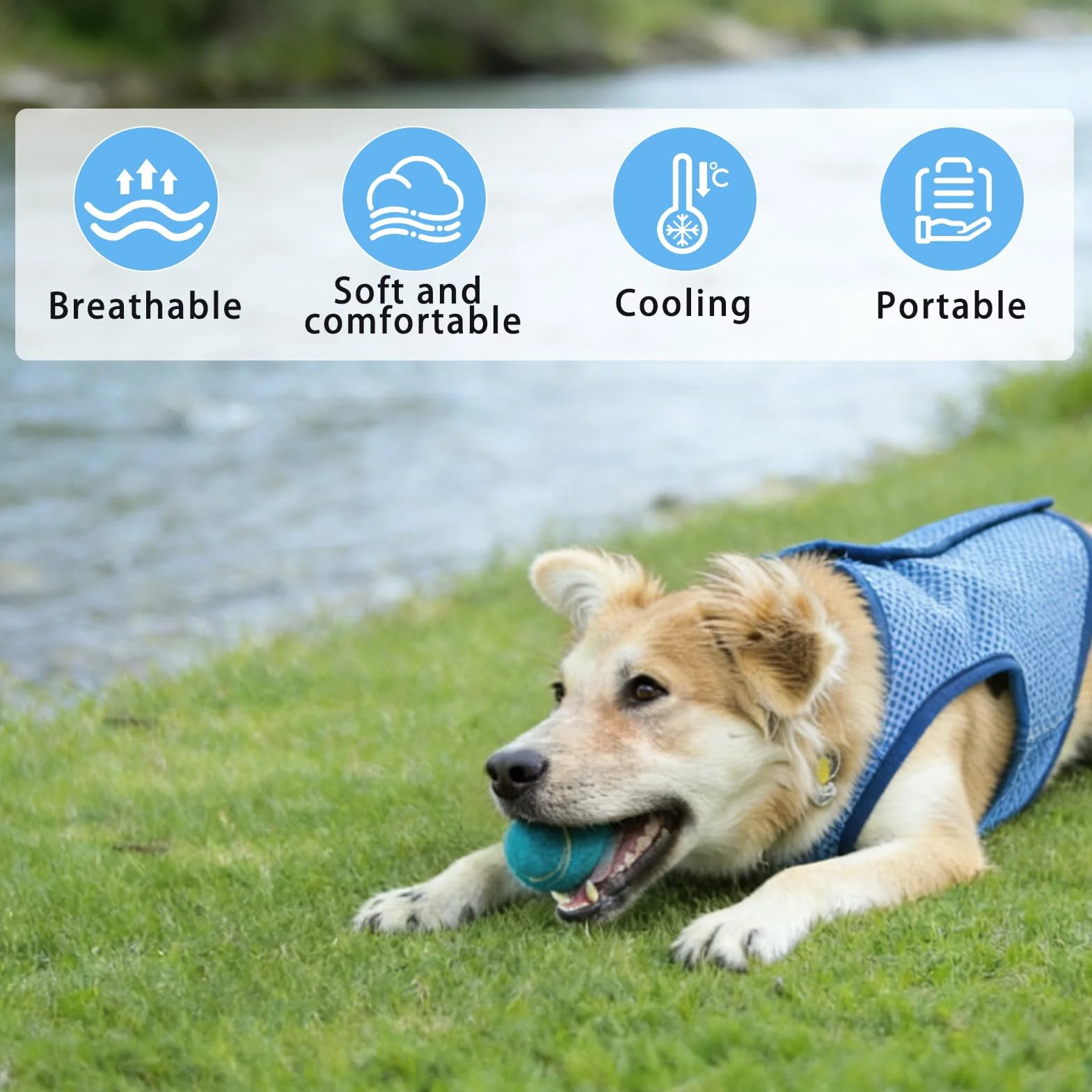 Kühlweste Hund, Kühlweste für Haustiere, Kühlende Hundejacke, Licht Atmungsaktiver, Sommer Cool und Bequem Hundemantel, Ärmellos, Sommerliche Haustierkleidung, für Kleine und Große Hunde (L)