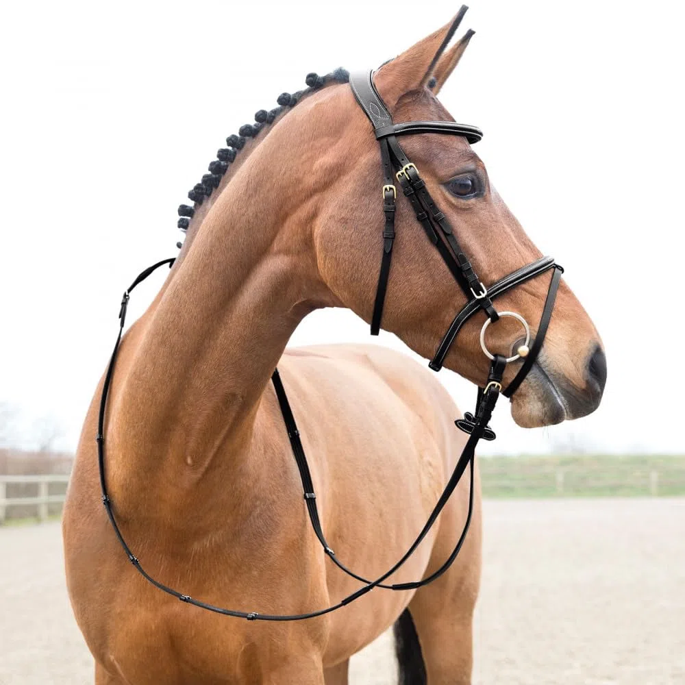 HORZE Pferde Trense Constance, Trensenzaum mit Zügel für Warmblut, Vollblut und Pony, Schwarz, XF
