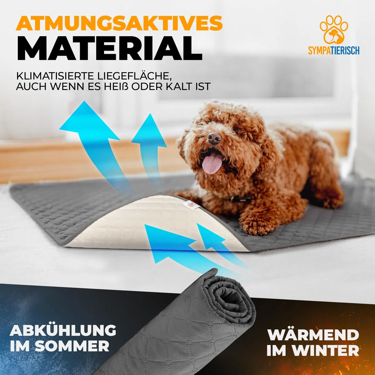 wasserdichte Hundedecke - Robuste Hundematte als Schutz für Sofa & Bett - rutschfeste Hundedecke auch für große Hunde geeignet - in der Waschmaschine waschbar - 100 x 80 cm - grau