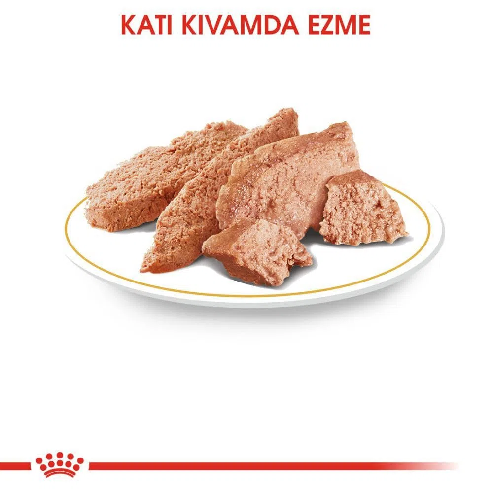 Royal Canin Poodle Adult | 12 x 85g | Nassfutter für Pudel Erwachsene & Senioren | ab 10 Monaten | Fellpflege | mit schmackhafter Konsistenz